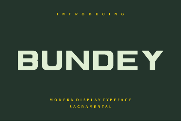 Bundey: A Bold Font for Business