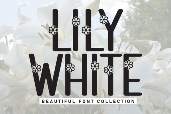 Lily White Font for Creative Campaigns